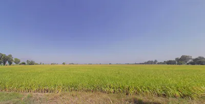Lehragaga, Punjab 148031, India preview 2