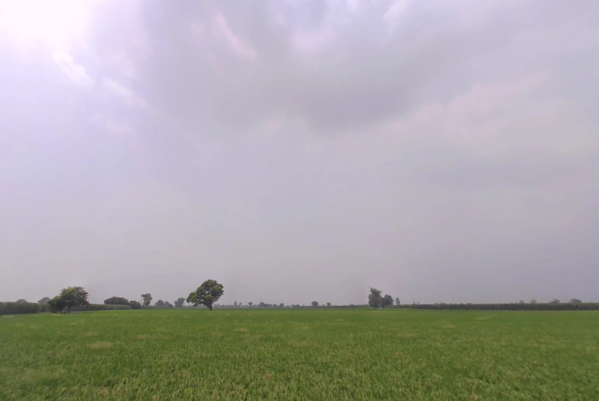 Ladwa, Haryana 136132, India