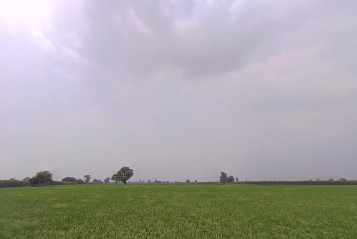 Ladwa, Haryana 136132, India