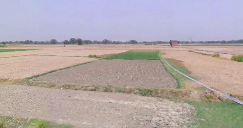 Shajapur, Madhya Pradesh 465001, India preview 2