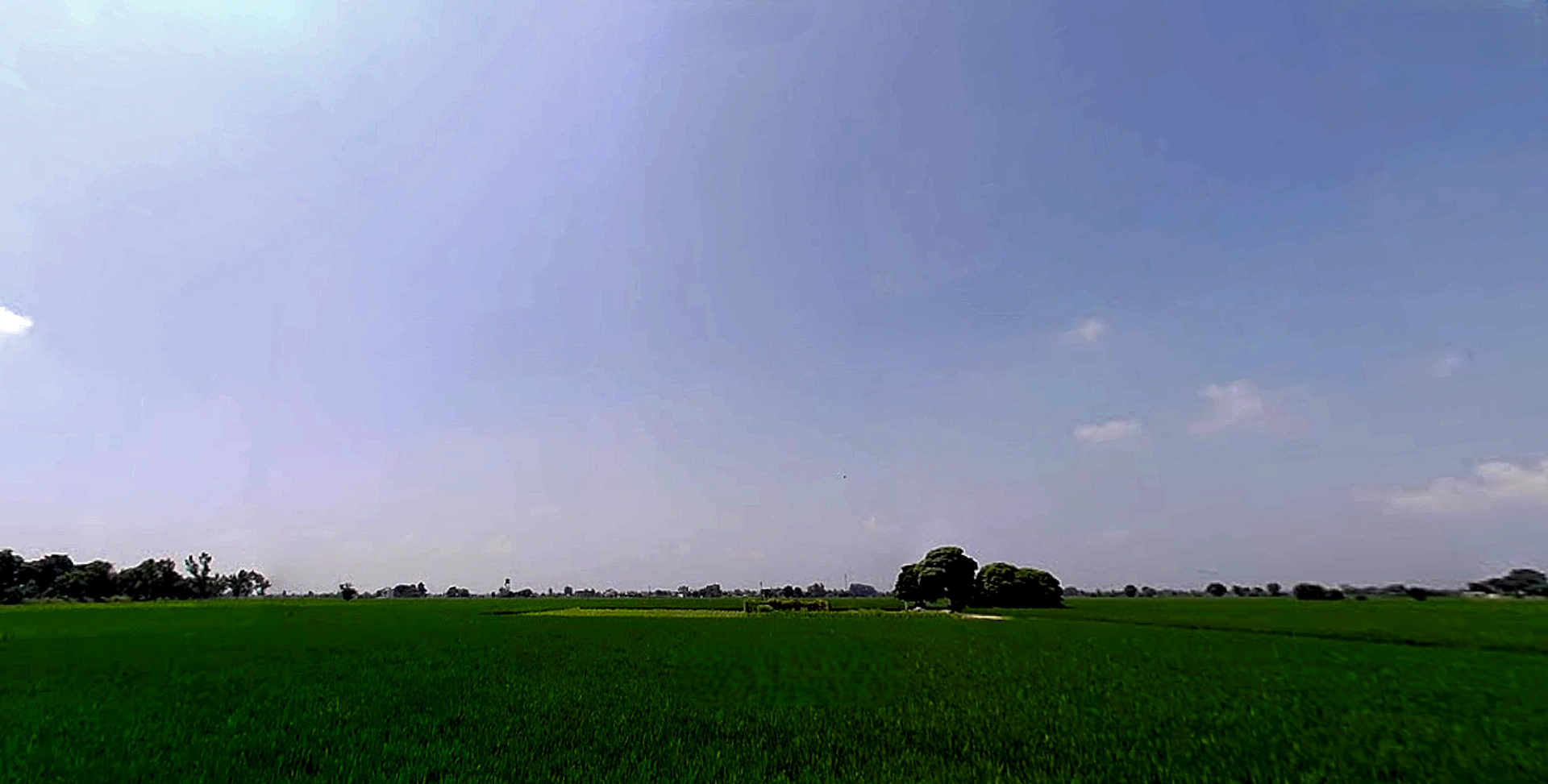 Rajpura, Punjab, India