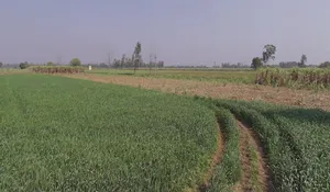 Mawana Kalan, Uttar Pradesh, India preview 3