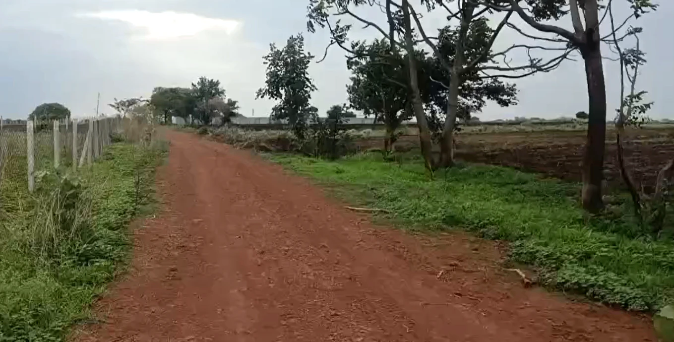 F232+MR5, Vikarabad, Madireddipalle, Telangana 501111, India