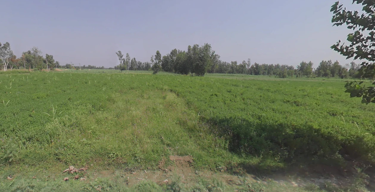 Dhanaura, Uttar Pradesh 244231, India