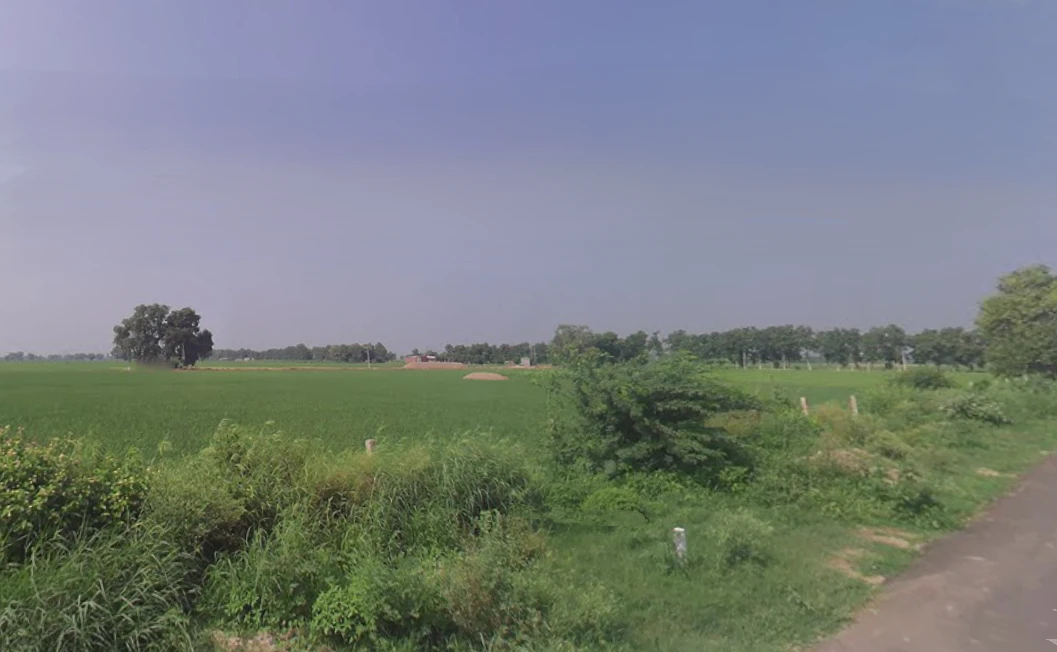 Gillan Khera, Haryana 125050, India