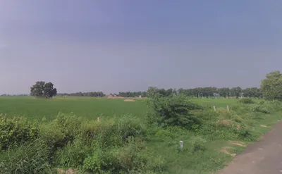 Gillan Khera, Haryana 125050, India preview 2