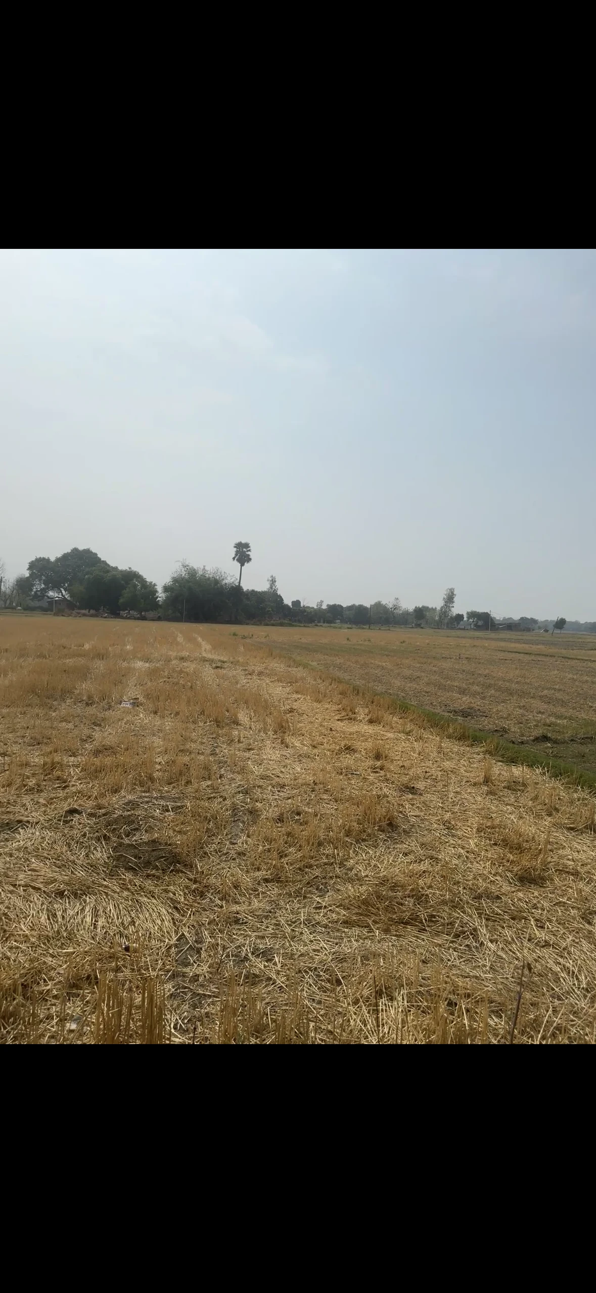 Gehundi, Kasimabad, Ghazipur, Uttar Pradesh, India