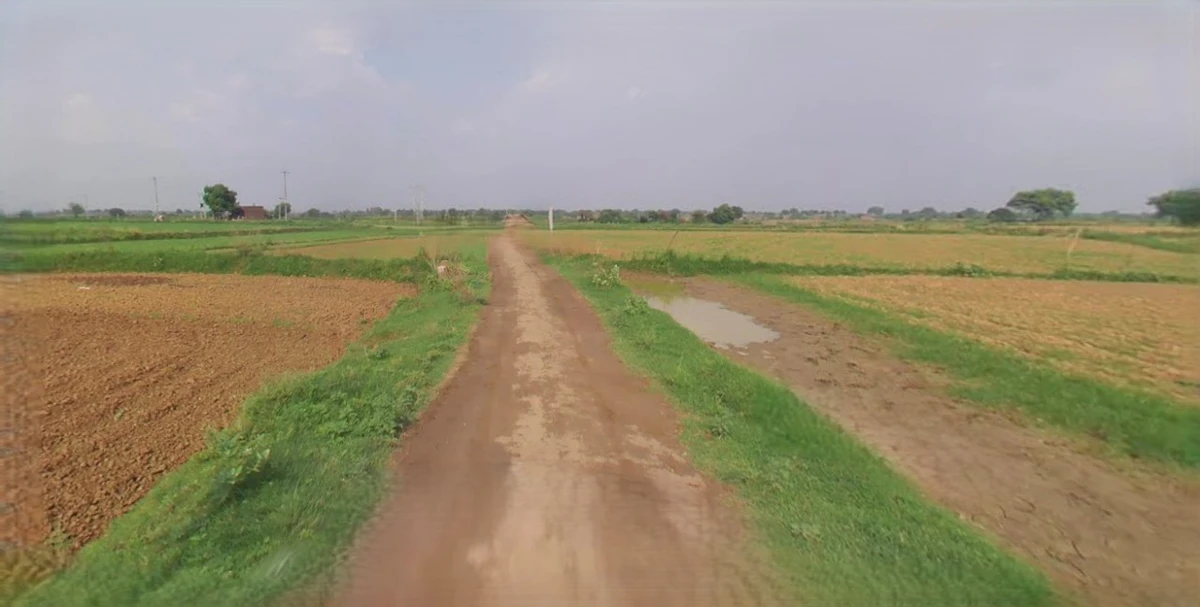 Barnagar, Madhya Pradesh 456771, India