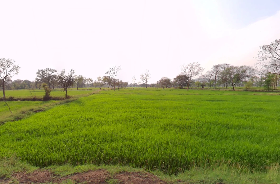 Gukhera, Chhattisgarh 493441, India