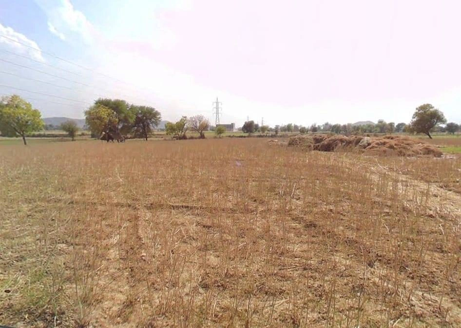 Ghasoli, Rajasthan 301405, India