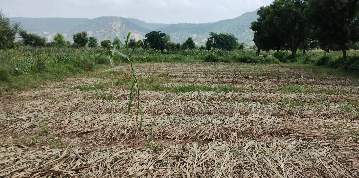Sirawas, Rajasthan 301001, India preview 2
