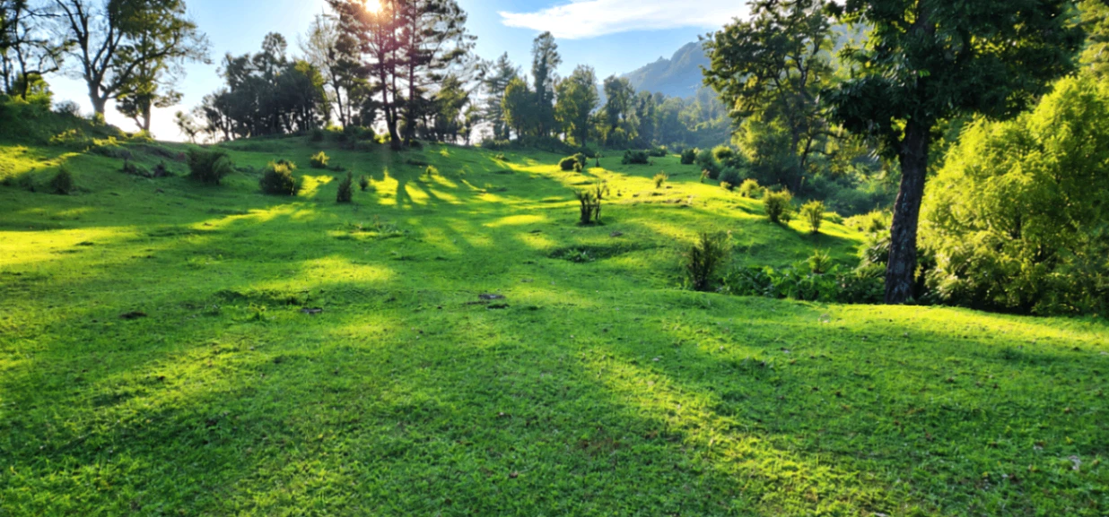 F269+8C6, Dehradun, Mussoorie, Uttarakhand 248179, India