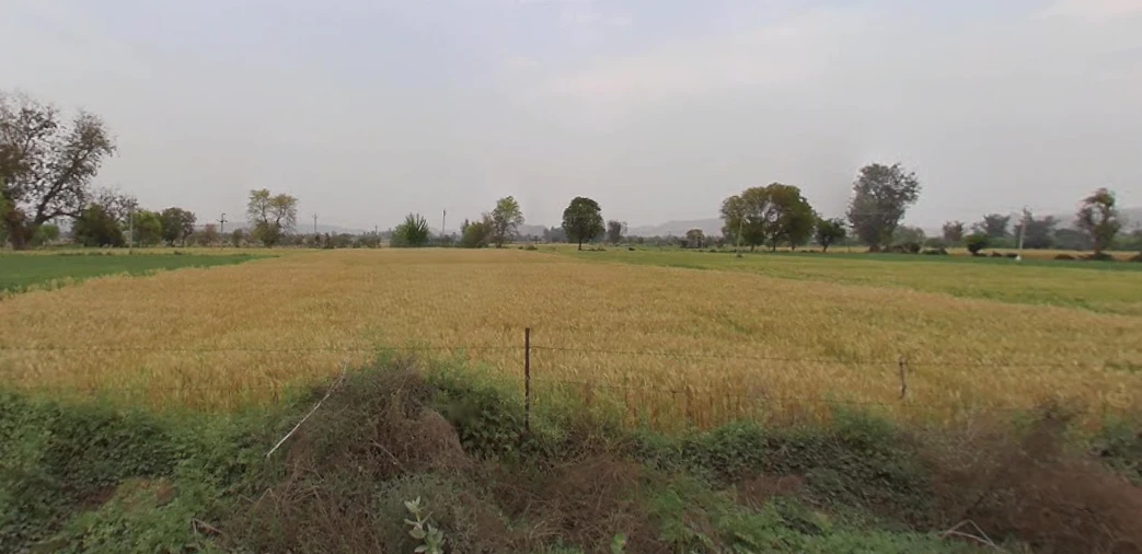 Delhi Rd, Kherado, Alwar, Rajasthan 301001, India