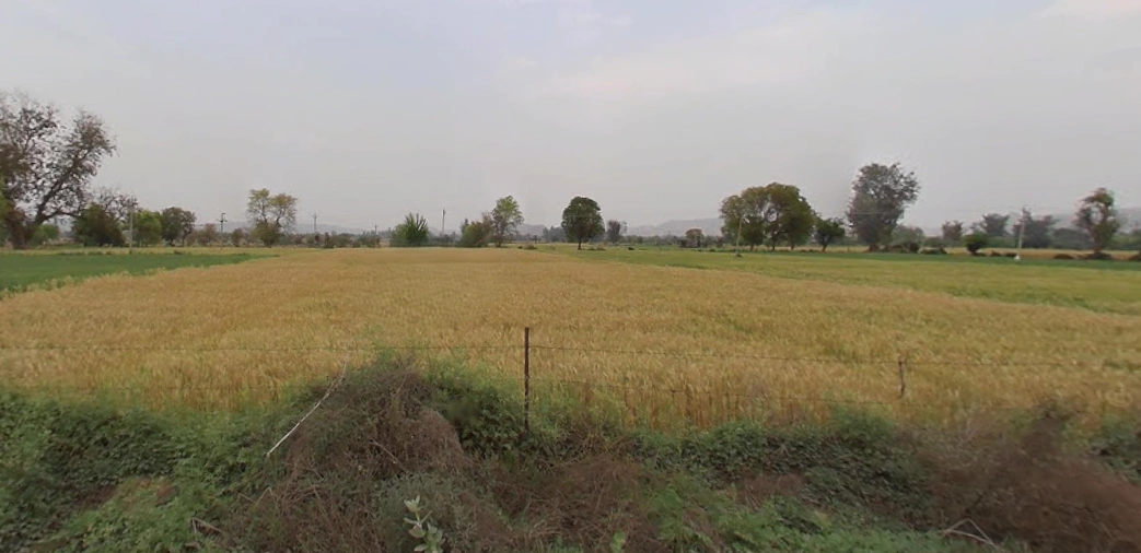 Delhi Rd, Kherado, Alwar, Rajasthan 301001, India