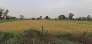 Delhi Rd, Kherado, Alwar, Rajasthan 301001, India preview 3