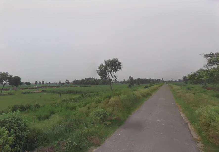 Hasanpur, Uttar Pradesh 244241, India