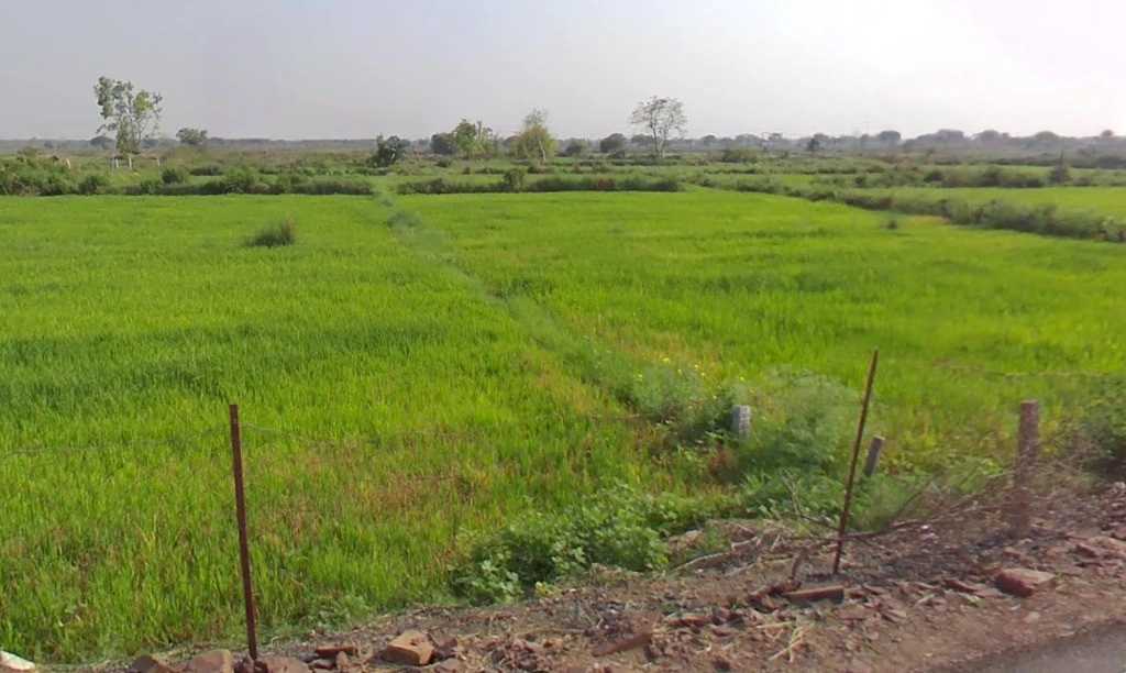 Bhilai, Chhattisgarh 493441, India