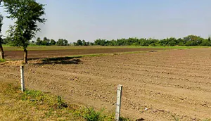 Kharwa Khedi, Madhya Pradesh 453111, India preview 3