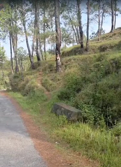 Vikasnagar, Uttarakhand, India preview 3