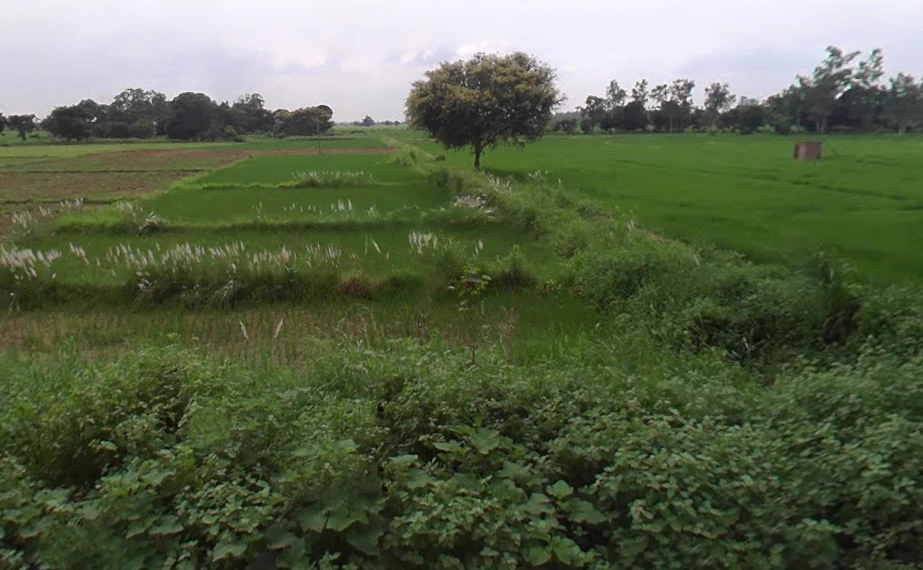 Banaki, Uttar Pradesh 231309, India