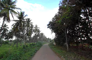 WPPQ+CX, Ballahalli, Karnataka 571109, India preview 2