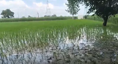 Kabrai, Mahoba, Uttar Pradesh 210424, India preview 3