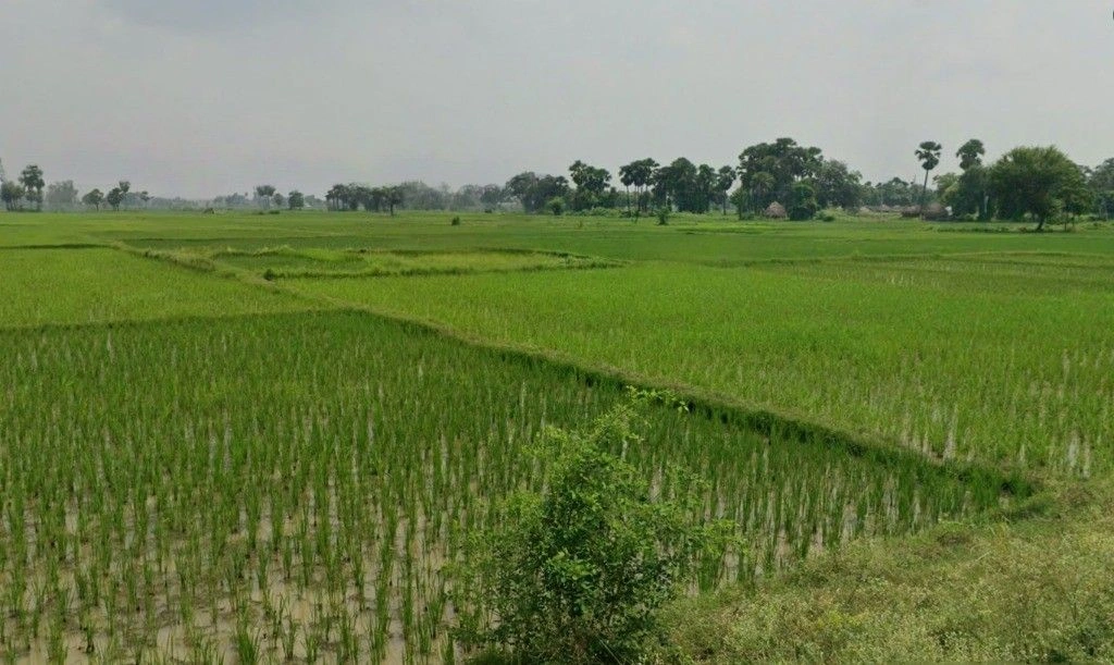 Kharra, Chhattisgarh 491332, India
