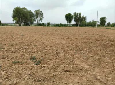 Khambi, Haryana 121106, India preview 2
