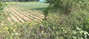 JHVH+P3R, Deo Nagar, Rajasthan 311203, India preview 2