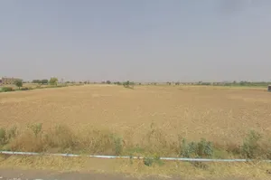 Dohaki, Haryana, India preview 3