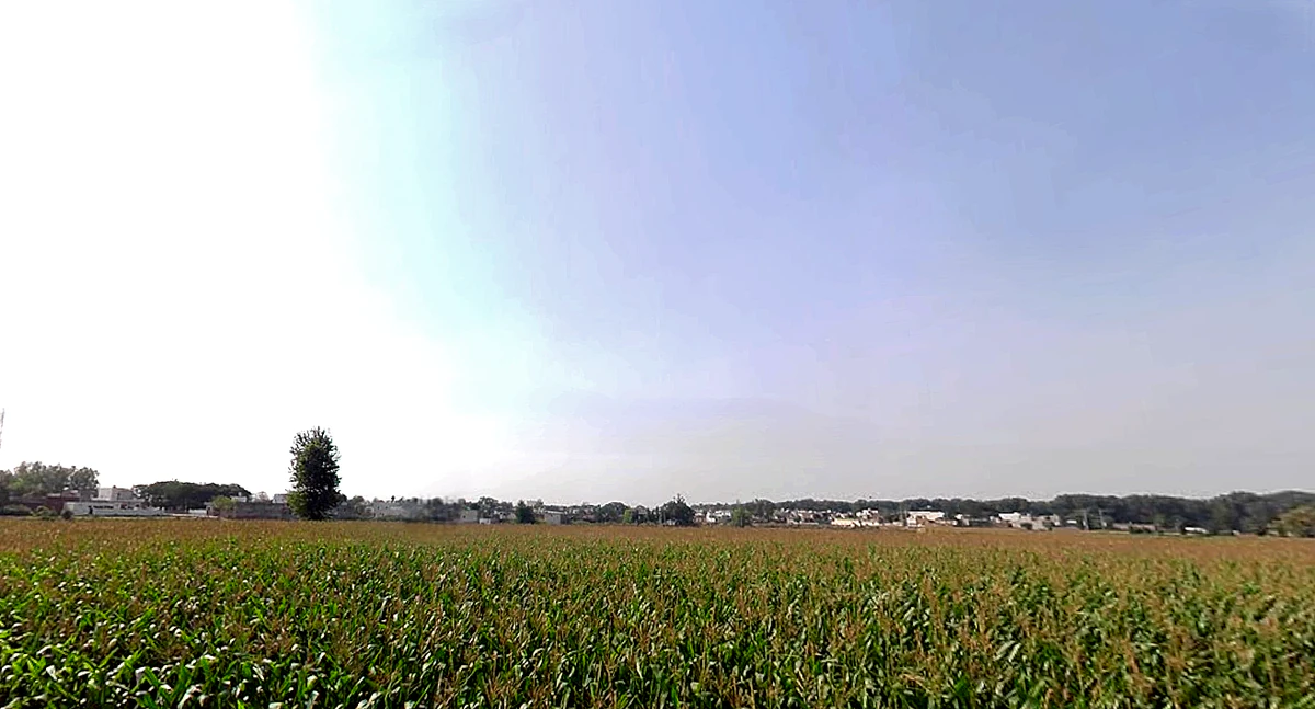 Thuhi, Punjab 147201, India