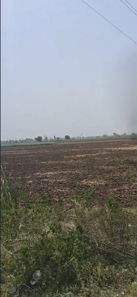 Naurangpur, Haryana 122012, India