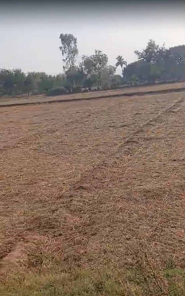 JP6R+3X Deva Talpad, Anand, Gujarat, India