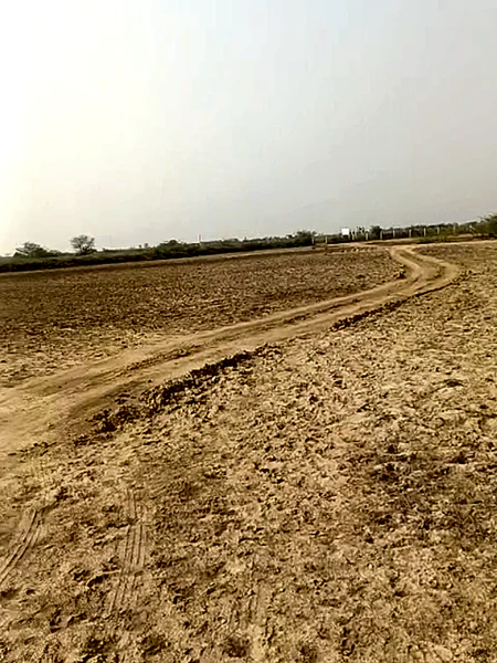 7V33+26, Jola, Rajasthan 304021, India preview 3