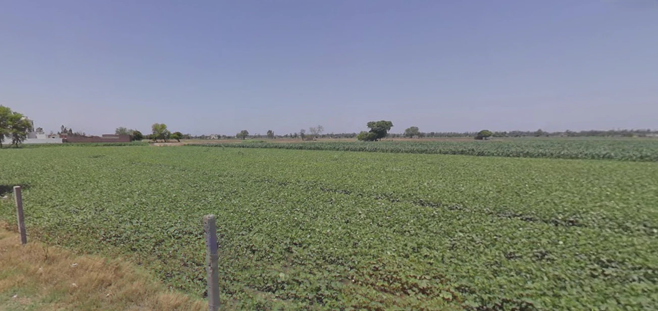 Rampura Phul, Punjab, India