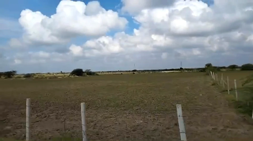 2JWQ+PM Khareda, Rajasthan, India