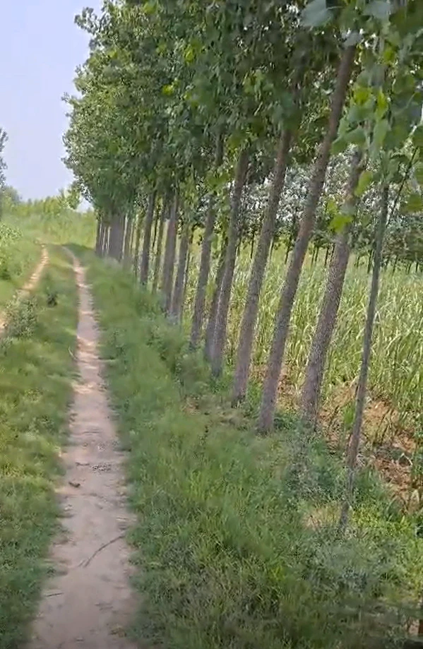 Kabrai, Mahoba, Uttar Pradesh 210424, India