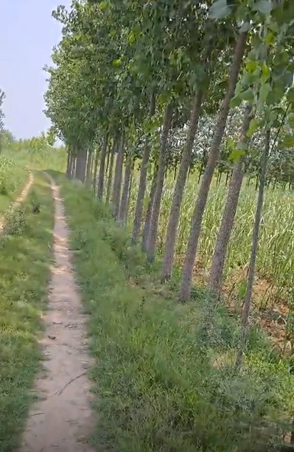Kabrai, Mahoba, Uttar Pradesh 210424, India