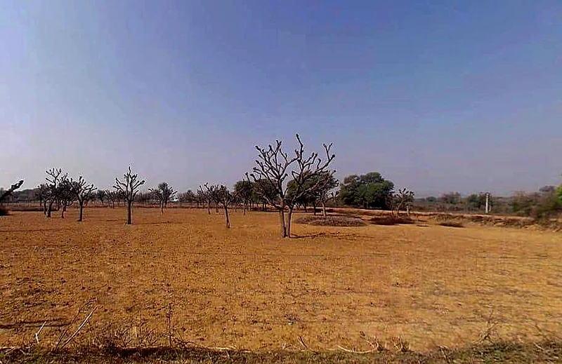 768W+3W8, Gogawas, Rajasthan, India preview 3