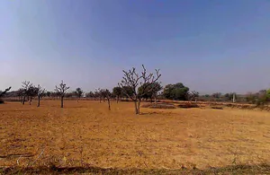 768W+3W8, Gogawas, Rajasthan, India preview 3