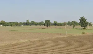 22G9+W8M, Ichhawar, Madhya Pradesh 466115, India preview 2