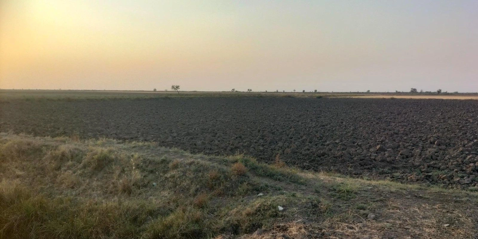 9555+FF Gamph, Gujarat, India