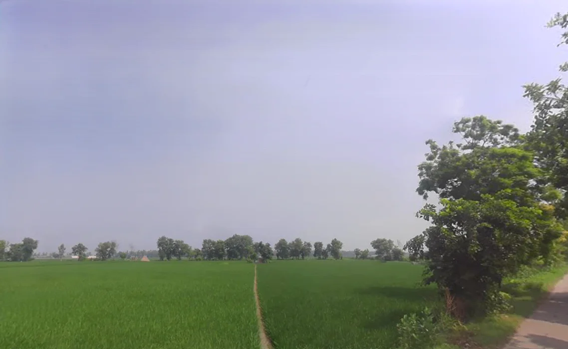 Pehowa, Haryana 136128, India preview 2