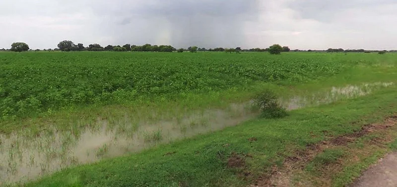 Khatoo, Rajasthan 332602, India preview 2