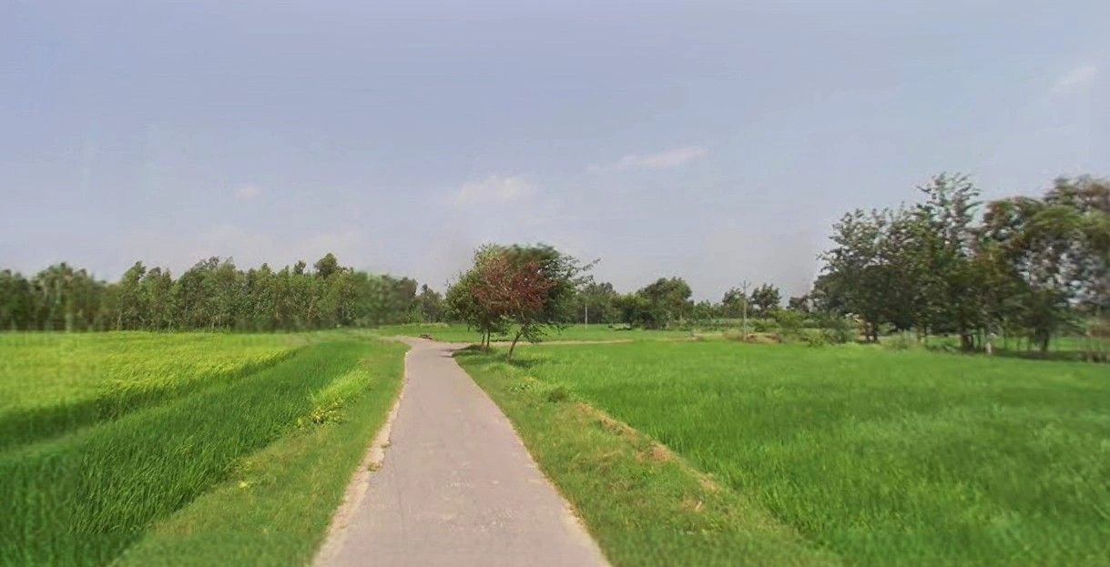 Sitarganj, Uttarakhand 262405, India