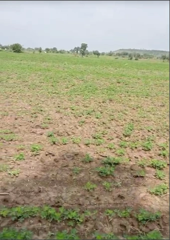 Bilhari, Chhatarpur, Madhya Pradesh 471525, India
