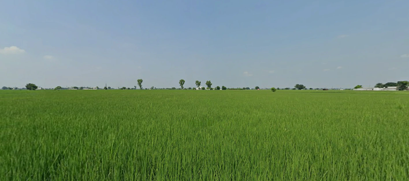 Nurpur Bedi, Punjab 140117, India