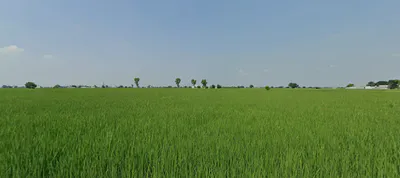 Nurpur Bedi, Punjab 140117, India preview 2