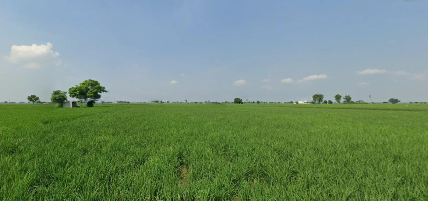 Nurpur Bedi, Punjab 140117, India
