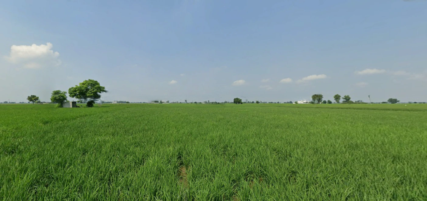 Nurpur Bedi, Punjab 140117, India